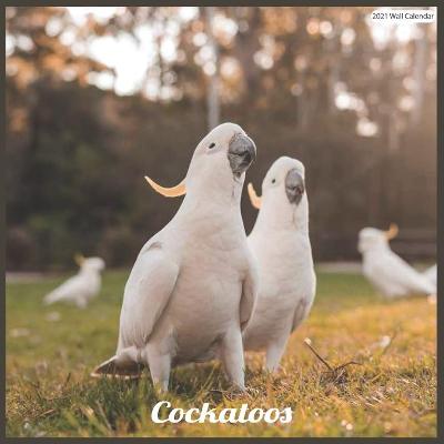 Book cover for Cockatoos 2021 Wall Calendar