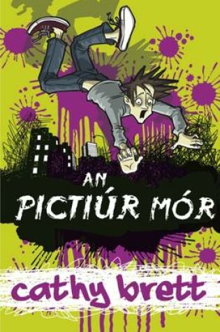 Cover of An Pictiur Mhor