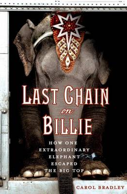 Book cover for Last Chain on Billie