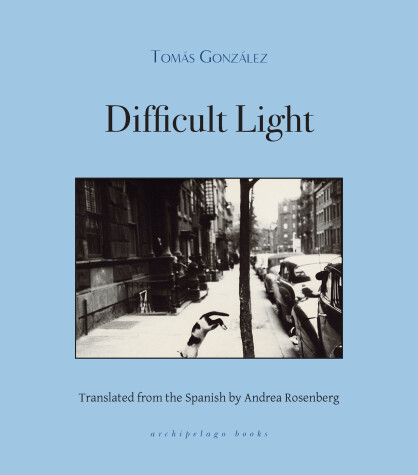 Book cover for Difficult Light