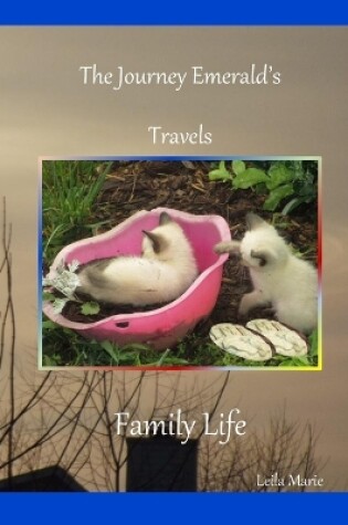 Cover of Family Life