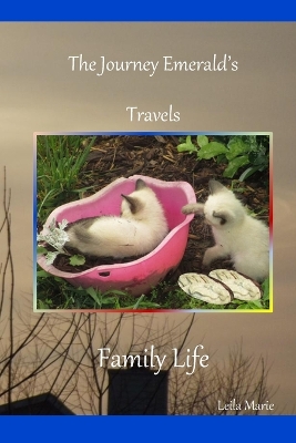Book cover for Family Life