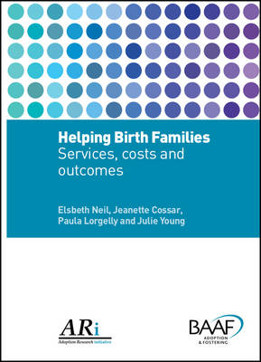 Book cover for Helping Birth Families