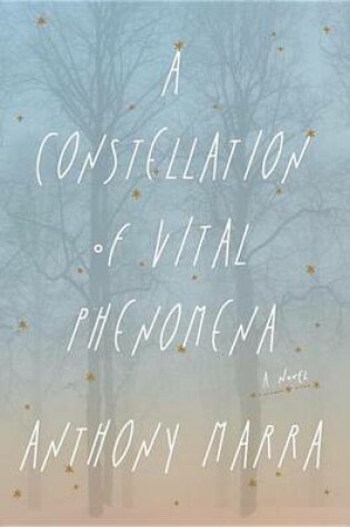 Cover of A Constellation of Vital Phenomena