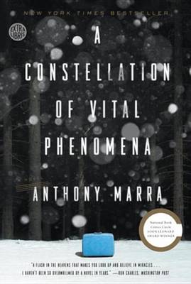 Book cover for A Constellation of Vital Phenomena
