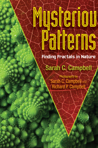 Cover of Mysterious Patterns