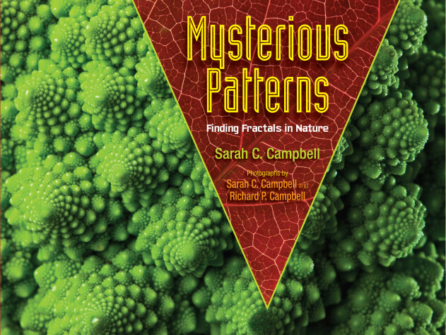 Book cover for Mysterious Patterns