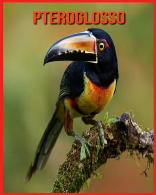 Book cover for Pteroglosso