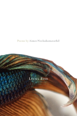 Book cover for Lucky Fish