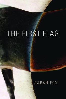 Book cover for The First Flag