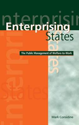 Book cover for Enterprising States