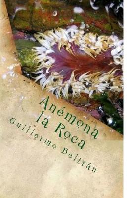Book cover for Anemona la Roca