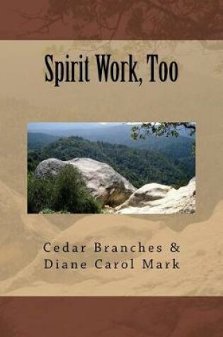 Cover of Spirit Work, Too