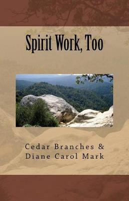 Book cover for Spirit Work, Too