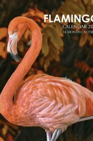 Cover of Flamingo Calendar 2020