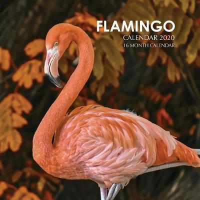 Book cover for Flamingo Calendar 2020