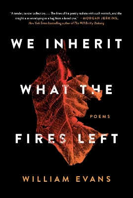 Book cover for We Inherit What the Fires Left