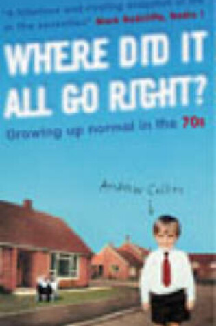 Cover of Where Did It All Go Right?