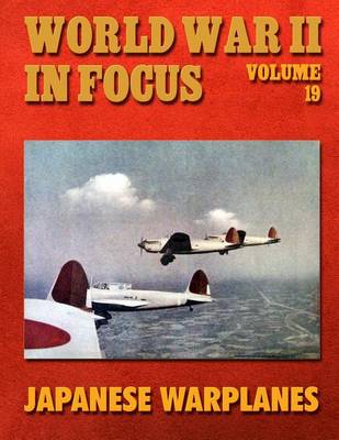 Cover of World War II in Focus Volume 19