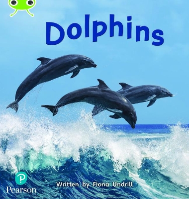 Book cover for Bug Club Phonics Non-Fiction Year 1 Phase 5 Unit 13 Dolphins