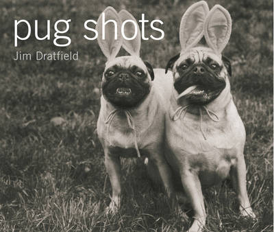 Book cover for Pug Shots