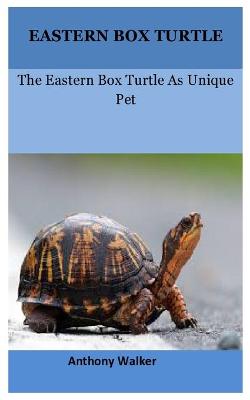 Book cover for Eastern Box Turtle