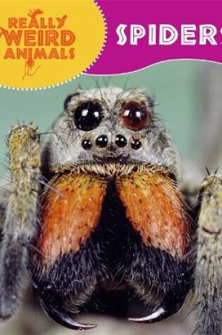 Cover of Really Weird Animals: Spiders