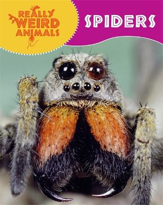Book cover for Really Weird Animals: Spiders