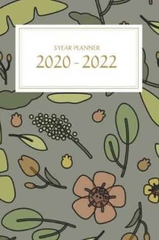 Cover of 3 Year Planner 2020-2022