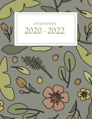 Book cover for 3 Year Planner 2020-2022