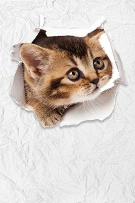 Book cover for Cute Kitten