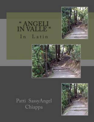 Book cover for Angeli in Valle