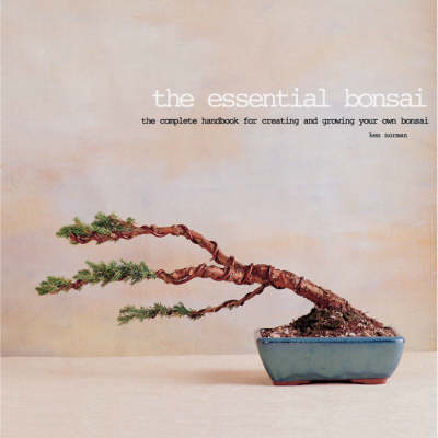 Book cover for The Bonsai