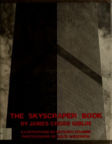 Book cover for The Skyscraper Book