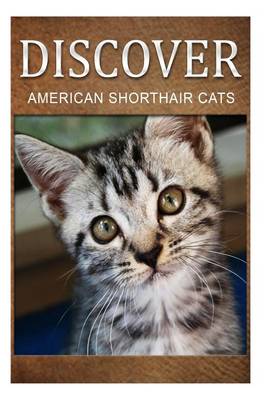 Book cover for American Shorthair Cats - Discover