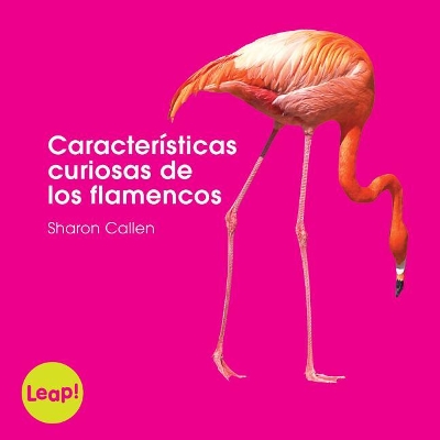 Cover of Caracter�sticas Curiosas de Los Flamencos