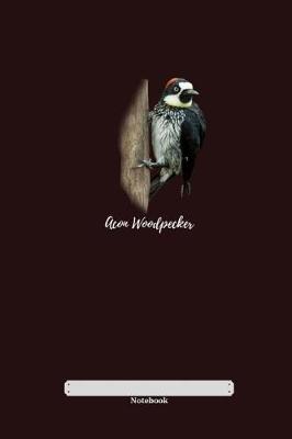 Book cover for Acorn Woodpeacker