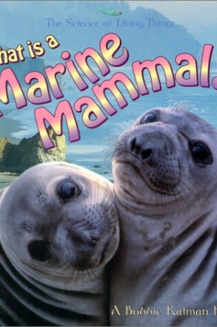 Cover of What Is a Marine Mammal?