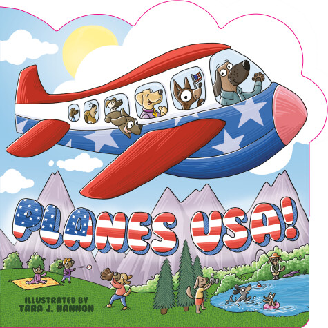 Book cover for Planes USA!