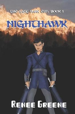 Book cover for NightHawk