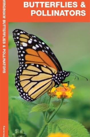 Cover of West Virginia Butterflies & Pollinators