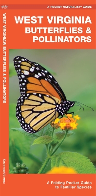 Book cover for West Virginia Butterflies & Pollinators