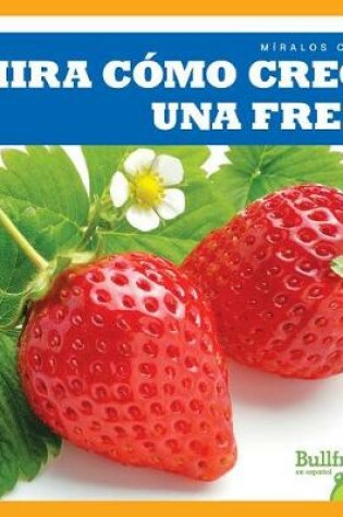 Cover of Mira Cómo Crece Una Fresa (Watch a Strawberry Grow)