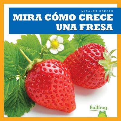 Book cover for Mira Cómo Crece Una Fresa (Watch a Strawberry Grow)