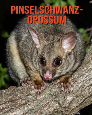 Book cover for Pinselschwanz-Opossum