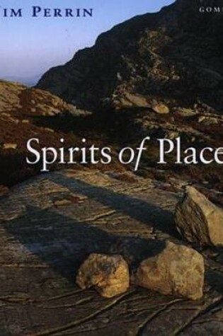 Cover of Spirits of Place - Travels, Encounters and Adventure in and from Wales