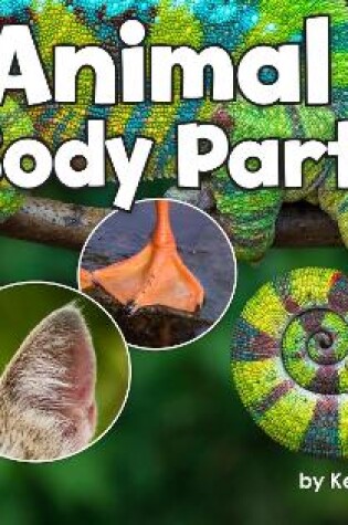 Cover of Animal Body Parts