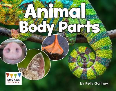 Cover of Animal Body Parts