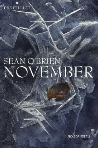 Cover of November