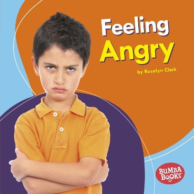 Book cover for Feeling Angry